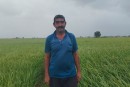 شالی-کار-اوچ-تپه-ای-مرزعه-شالی-نیاز-به-مراقبت-مداوم-دارد-محصول-شالی-سه-ماهه-به-عمل-می-آید