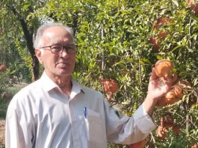 کتاب یاقوت های سرخ آزاد تپه به زودی چاپ می شود