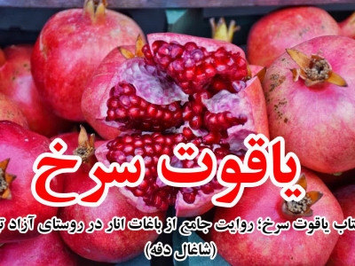 «یاقوت سرخ» به‌زودی منتشر می‌شود / روایت جامع از باغات انار در روستای آزادتپه 