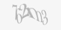 تصویر امنیتی