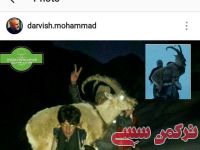ادامه مطلب...