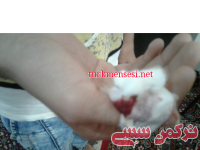ادامه مطلب...