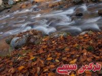 ادامه مطلب...