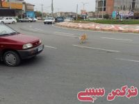 ادامه مطلب...