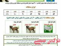ادامه مطلب...