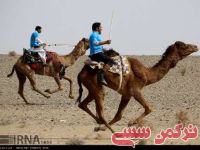ادامه مطلب...