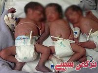 ادامه مطلب...