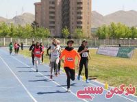 ادامه مطلب...