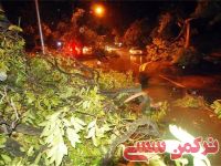 ادامه مطلب...