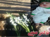 ادامه مطلب...