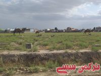 ادامه مطلب...