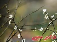 ادامه مطلب...