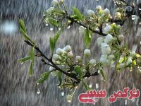 ادامه مطلب...