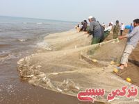 ادامه مطلب...