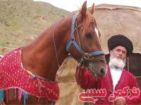 ادامه مطلب...