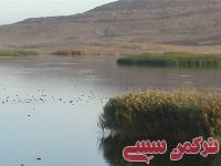 ادامه مطلب...