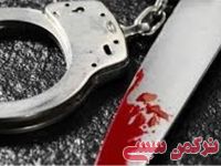 ادامه مطلب...