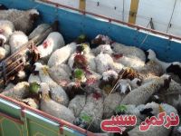 ادامه مطلب...