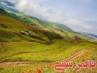 ادامه مطلب...