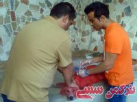 ادامه مطلب...