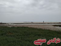 ادامه مطلب...