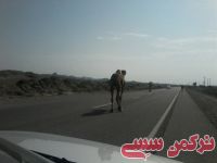 ادامه مطلب...