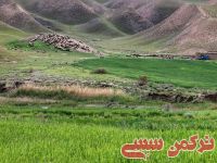 ادامه مطلب...