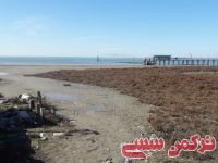 ادامه مطلب...