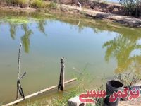 ادامه مطلب...