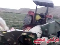 ادامه مطلب...