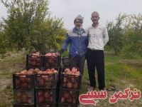 ادامه مطلب...
