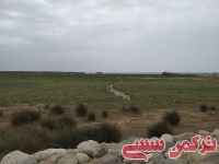 ادامه مطلب...
