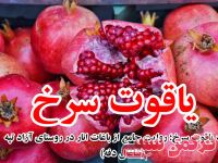 ادامه مطلب...