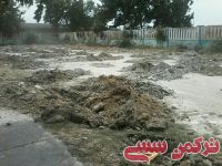 ادامه مطلب...