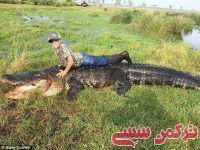 ادامه مطلب...