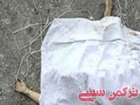 ادامه مطلب...