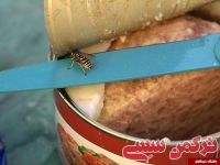 ادامه مطلب...