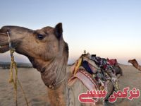 ادامه مطلب...
