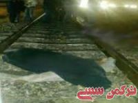 ادامه مطلب...