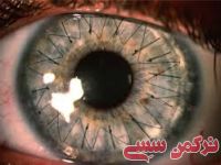 ادامه مطلب...