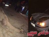 ادامه مطلب...