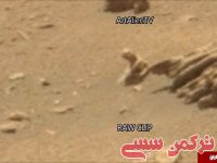 ادامه مطلب...