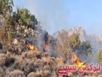 ادامه مطلب...