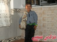 ادامه مطلب...