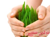 ادامه مطلب...