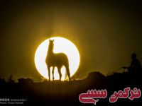 ادامه مطلب...