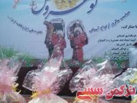 ادامه مطلب...