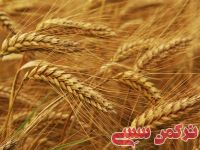 ادامه مطلب...