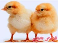 ادامه مطلب...