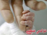 ادامه مطلب...